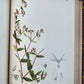 1892 MEDICINAL PLANTS 2 VOLUMES ILLUSTRATED FOLIOS antique by CHARLES MILLSPAUGH
