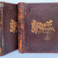 1892 MEDICINAL PLANTS 2 VOLUMES ILLUSTRATED FOLIOS antique by CHARLES MILLSPAUGH