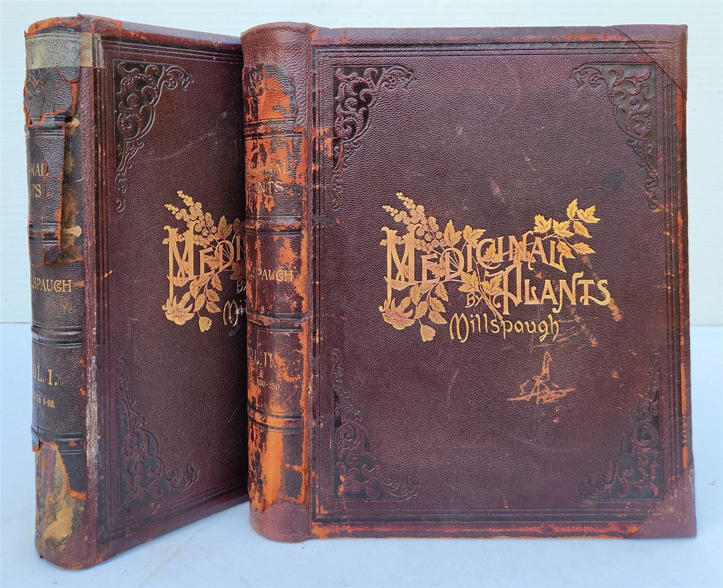 1892 MEDICINAL PLANTS 2 VOLUMES ILLUSTRATED FOLIOS antique by CHARLES MILLSPAUGH