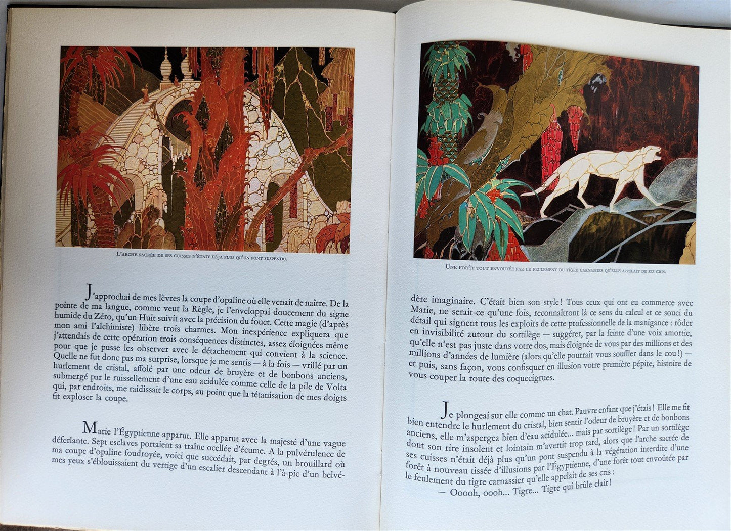 1978 MAGIE NOIRE antique COLOR ILLUSTRATED ART ALBUM in FRENCH