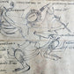 19th CENTURY MEDICINE ASTROLOGY MANUSCRIPT MANUAL from THALAND illustrated RARE