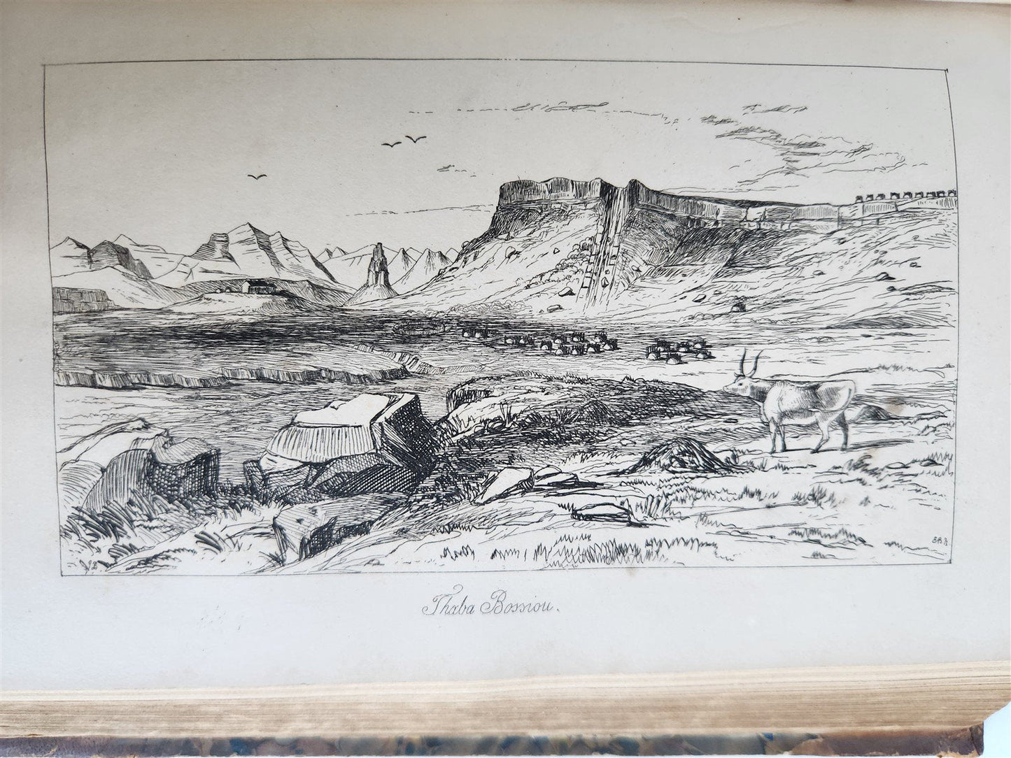 1844 A NARRATIVE of a VISIT to MAURITIUS & SOUTH AFRICA antique ILLUSTRATED