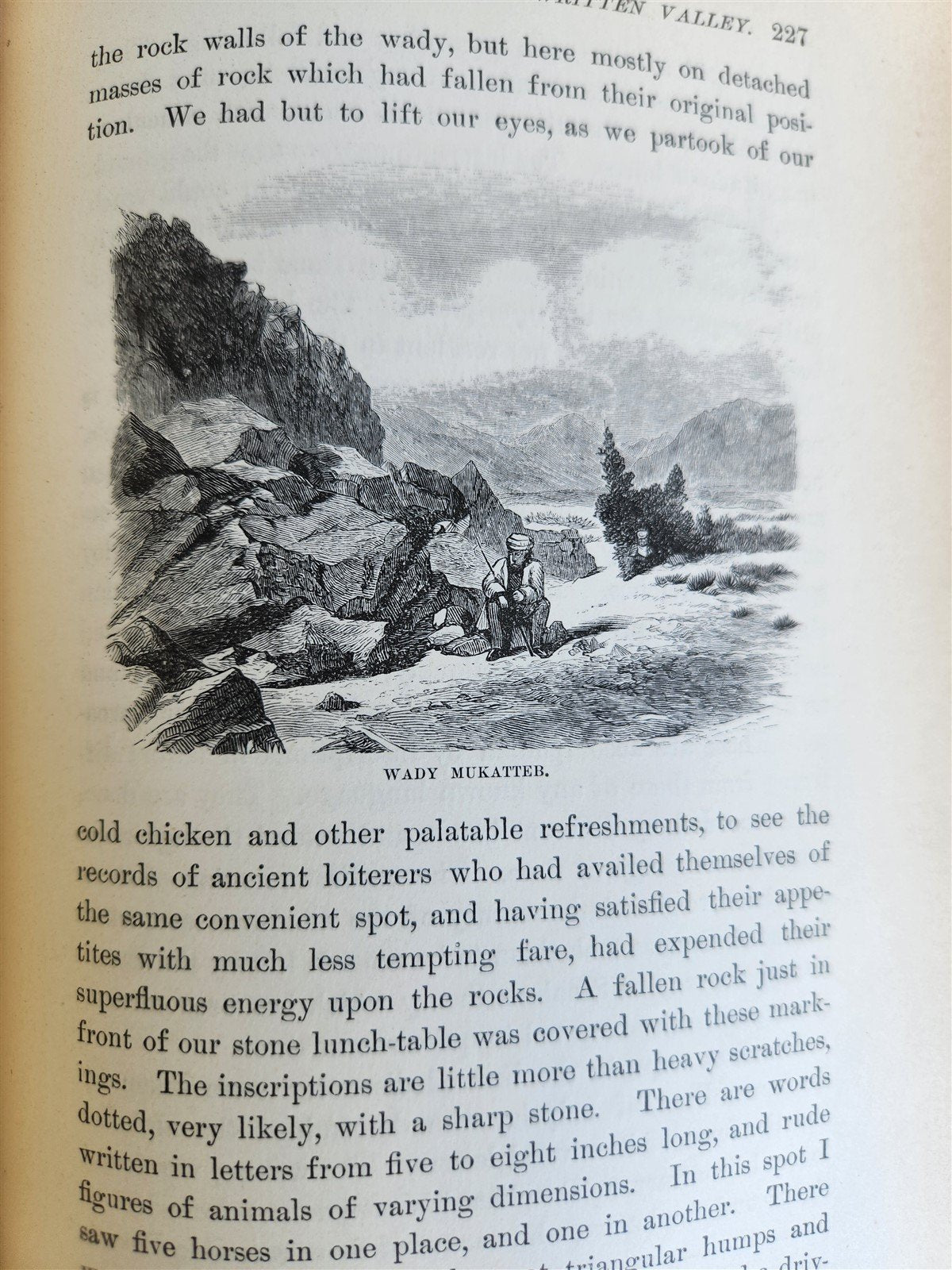 1879 FROM EGYPT TO PALESTINE by S. Bartlett antique ILLUSTRATED w/ FOLDING MAP