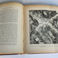 1879 FROM EGYPT TO PALESTINE by S. Bartlett antique ILLUSTRATED w/ FOLDING MAP