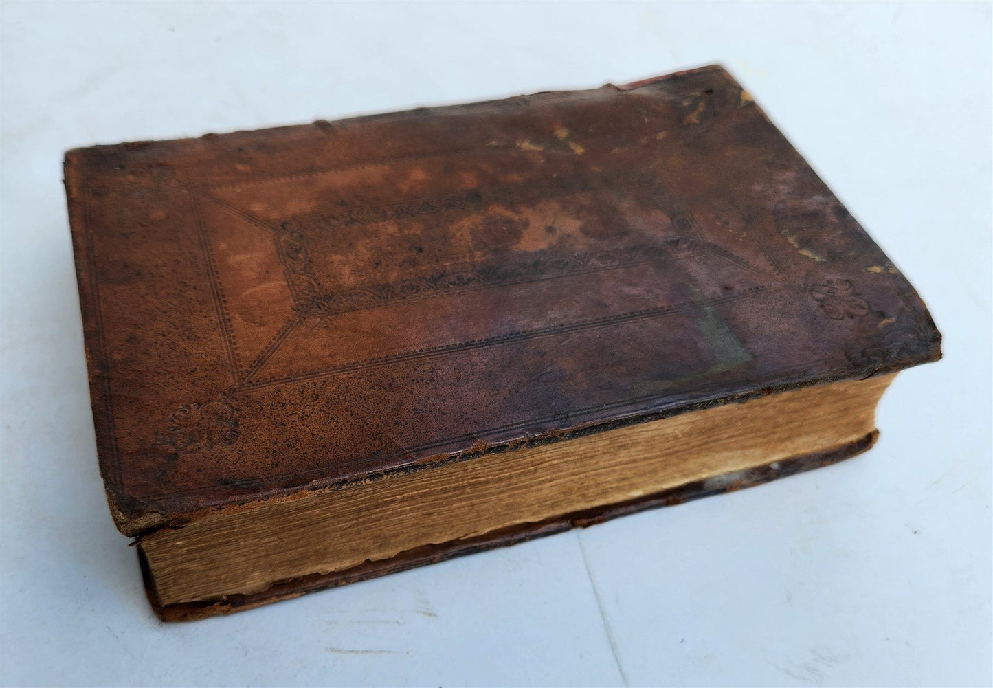 1719 THE RULE AND EXERCISES OF HOLY LIVING w/ PRAYERS antique in ENGLISH