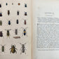 1862 TREATISE on INSECTS INJURIOUS TO VEGETATION antique ILLUSTRATED