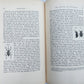 1862 TREATISE on INSECTS INJURIOUS TO VEGETATION antique ILLUSTRATED