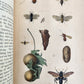 1862 TREATISE on INSECTS INJURIOUS TO VEGETATION antique ILLUSTRATED