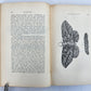 1862 TREATISE on INSECTS INJURIOUS TO VEGETATION antique ILLUSTRATED