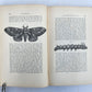1862 TREATISE on INSECTS INJURIOUS TO VEGETATION antique ILLUSTRATED
