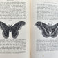1862 TREATISE on INSECTS INJURIOUS TO VEGETATION antique ILLUSTRATED