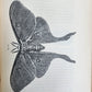 1862 TREATISE on INSECTS INJURIOUS TO VEGETATION antique ILLUSTRATED