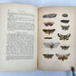 1862 TREATISE on INSECTS INJURIOUS TO VEGETATION antique ILLUSTRATED