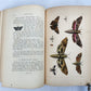 1862 TREATISE on INSECTS INJURIOUS TO VEGETATION antique ILLUSTRATED