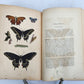 1862 TREATISE on INSECTS INJURIOUS TO VEGETATION antique ILLUSTRATED