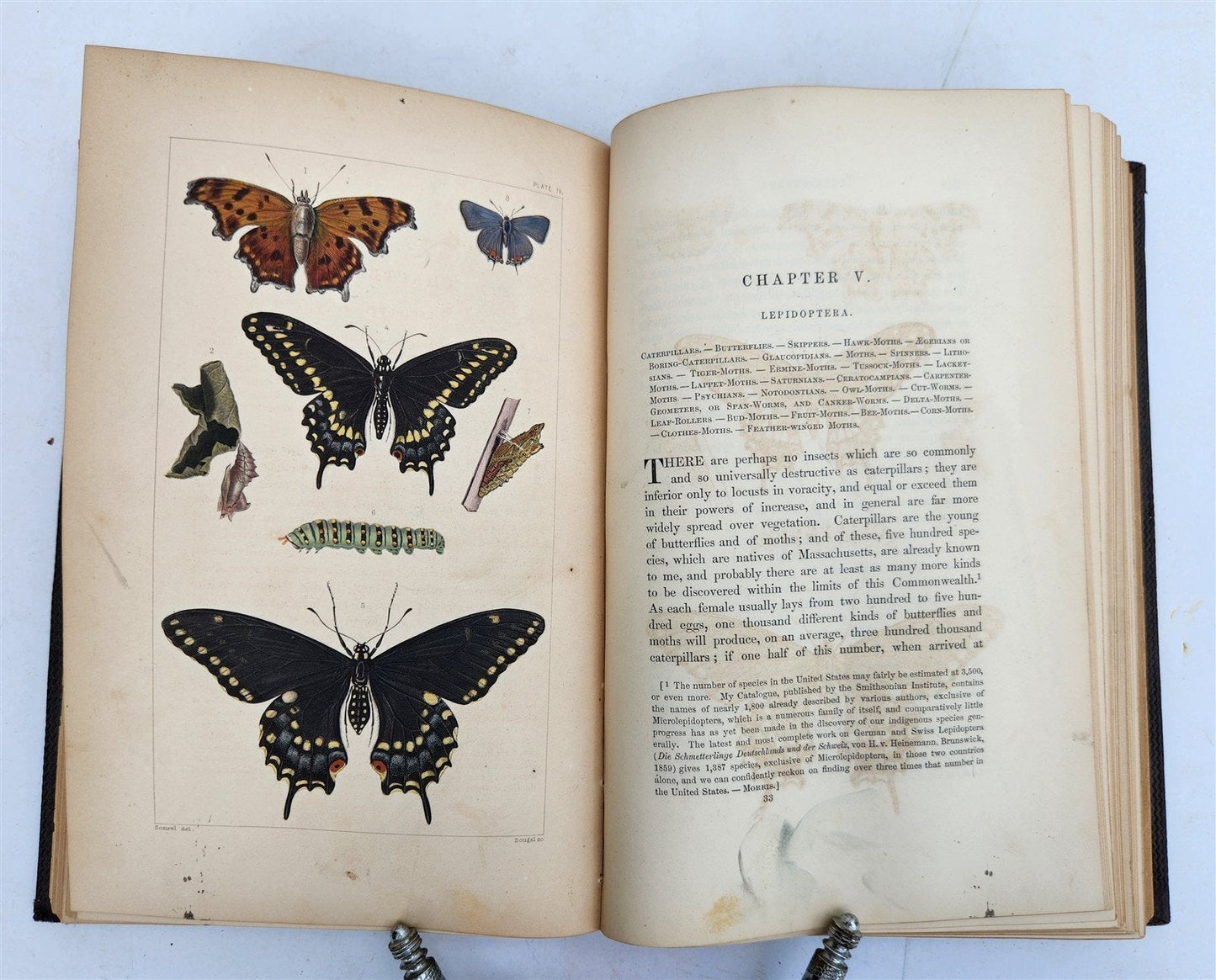 1862 TREATISE on INSECTS INJURIOUS TO VEGETATION antique ILLUSTRATED