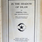 1911 IN SHADOW OF ISLAM antique American woman's experience in Ottoman Empire