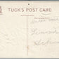 HALLOWEEN RAPHAEL TUCK SERIES 183 ANTIQUE POSTCARD