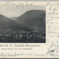 WESTKILL NY CATSKILL MOUNTAINS ANTIQUE POSTCARD