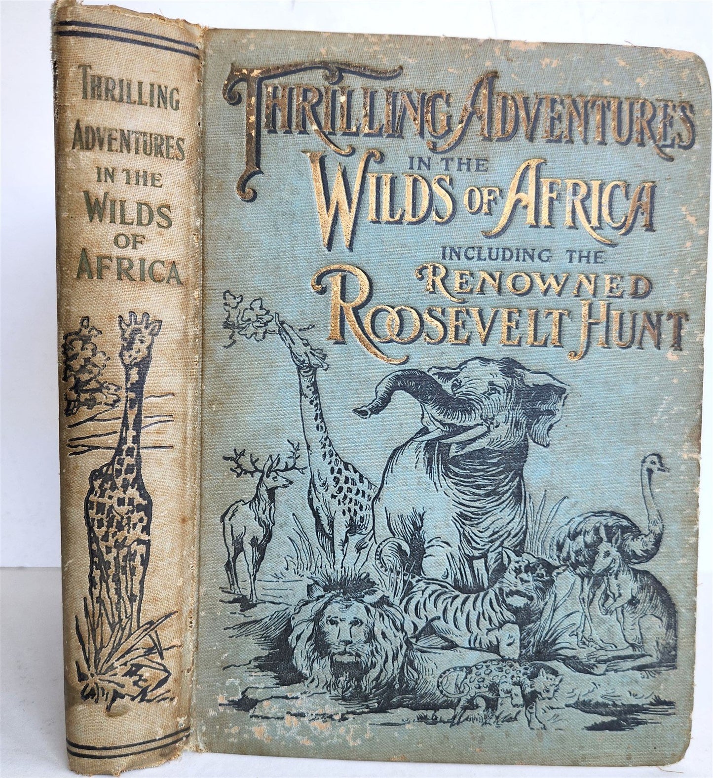 1909 THRILLING ADVENTURES in WILDS of AFRICA ROOSEVELT HUNT antique ILLUSTRATED
