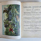 1909 THRILLING ADVENTURES in WILDS of AFRICA ROOSEVELT HUNT antique ILLUSTRATED