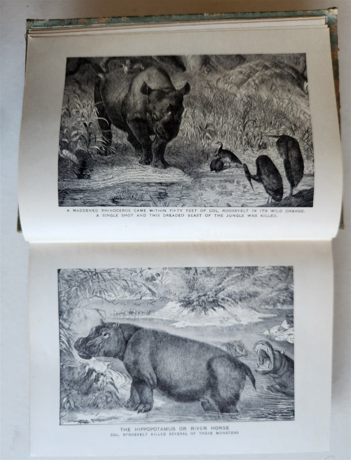 1909 THRILLING ADVENTURES in WILDS of AFRICA ROOSEVELT HUNT antique ILLUSTRATED