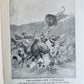 1909 THRILLING ADVENTURES in WILDS of AFRICA ROOSEVELT HUNT antique ILLUSTRATED
