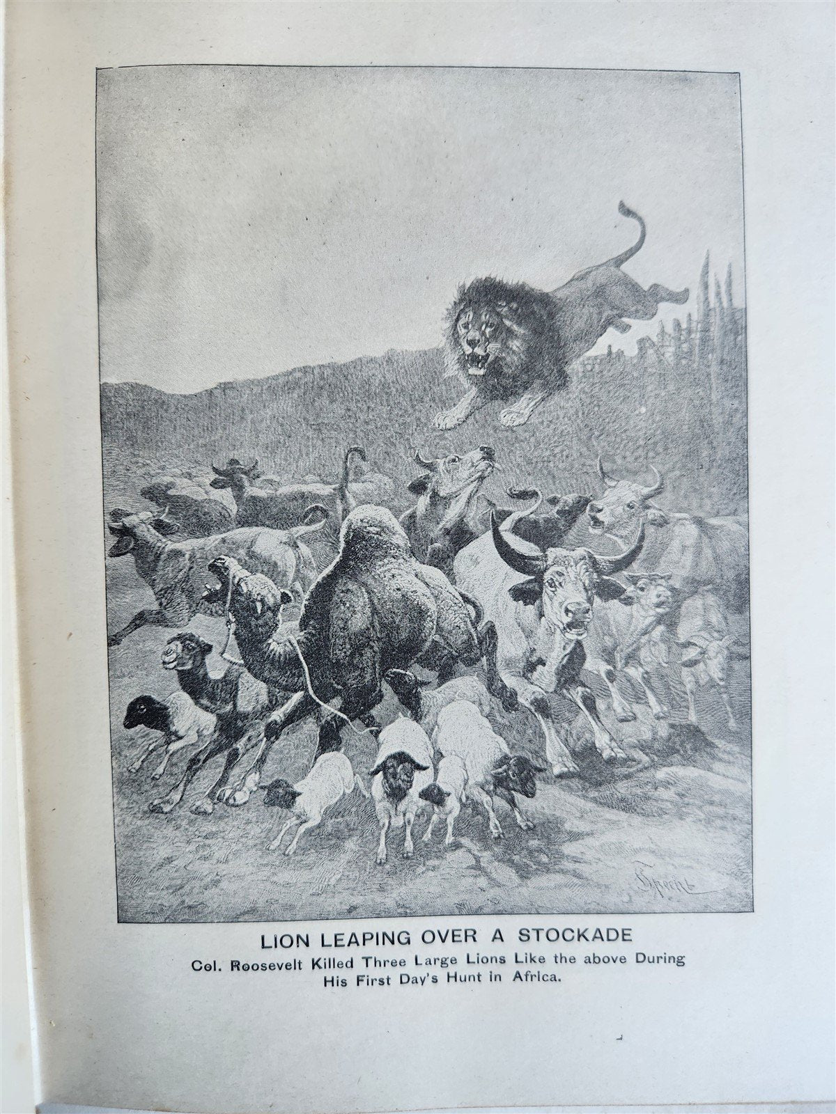 1909 THRILLING ADVENTURES in WILDS of AFRICA ROOSEVELT HUNT antique ILLUSTRATED