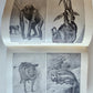 1909 THRILLING ADVENTURES in WILDS of AFRICA ROOSEVELT HUNT antique ILLUSTRATED
