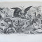 1909 THRILLING ADVENTURES in WILDS of AFRICA ROOSEVELT HUNT antique ILLUSTRATED