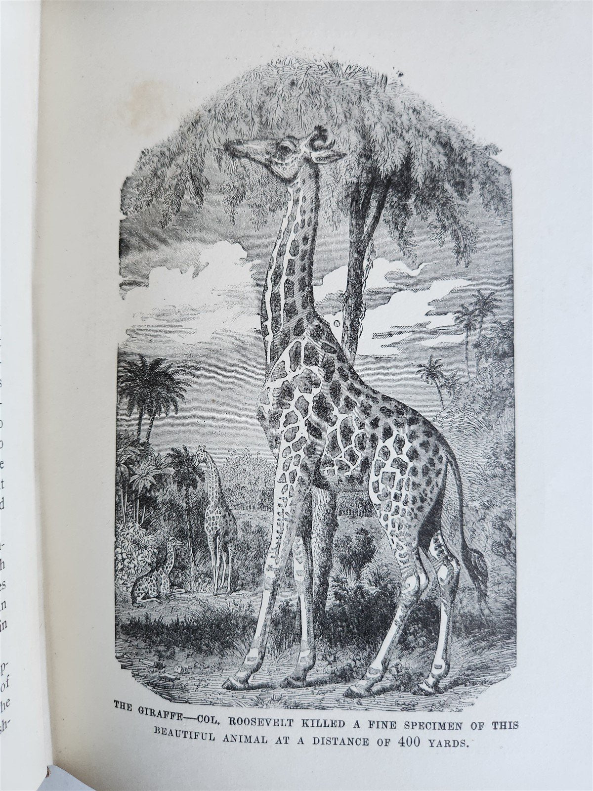 1909 THRILLING ADVENTURES in WILDS of AFRICA ROOSEVELT HUNT antique ILLUSTRATED