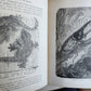 1909 THRILLING ADVENTURES in WILDS of AFRICA ROOSEVELT HUNT antique ILLUSTRATED