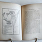 1883 SHADOW of the PYRENEES from BASQUE LAND to CARCASSONNE antique ILLUSTRATED
