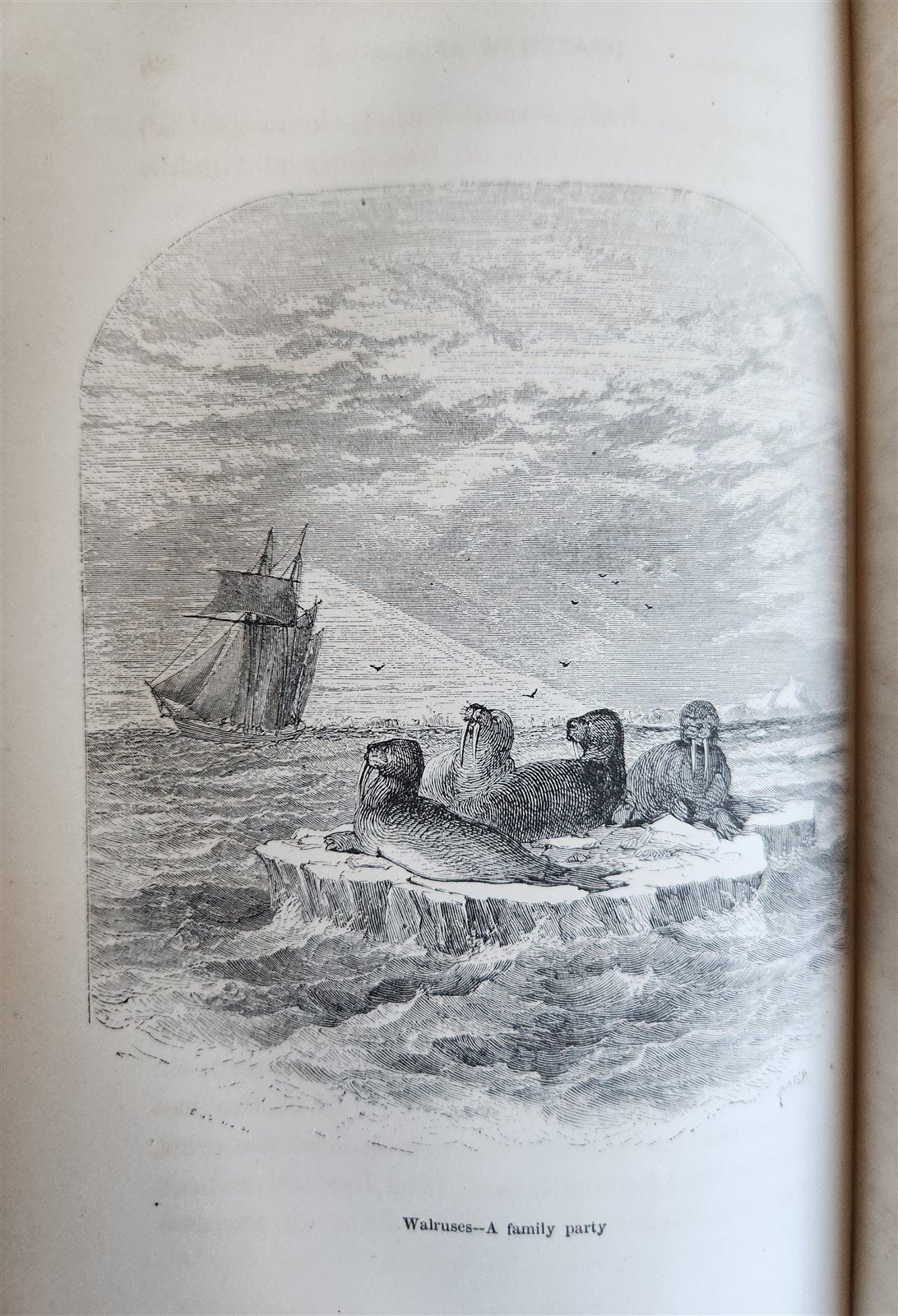 1860 NARRATIVE of DISCOVERY OF THE FATE of SIR JOHN FRANKLIN antique ILLUSTRATED