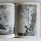1883 BIBLE in ENGLISH ANTIQUE VICTORIAN MASSIVE FOLIO GUSTAVE DORE ILLUSTRATED