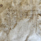 1557 LA FABRICA DEL MONDO antique VELLUM concordance of Petrarch's vocabulary