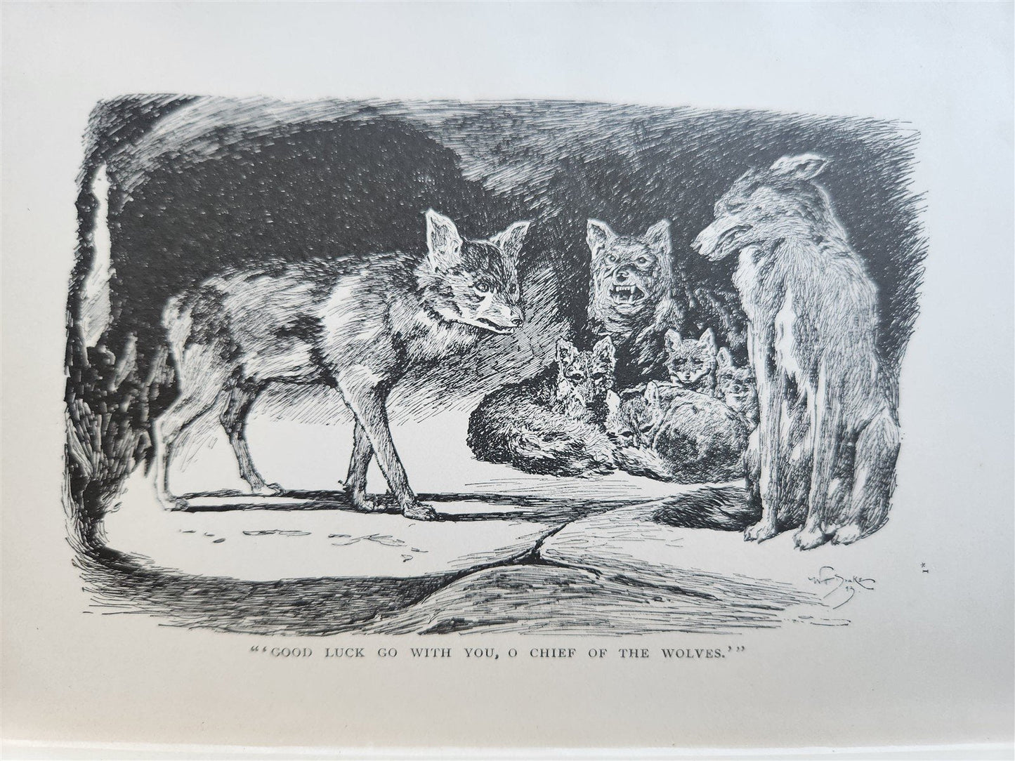 1896-98 THE JUNGLE BOOKS by RUDYARD KIPLING 2 vols antique ILLUSTRATED