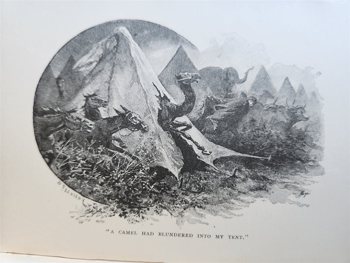 1896-98 THE JUNGLE BOOKS by RUDYARD KIPLING 2 vols antique ILLUSTRATED