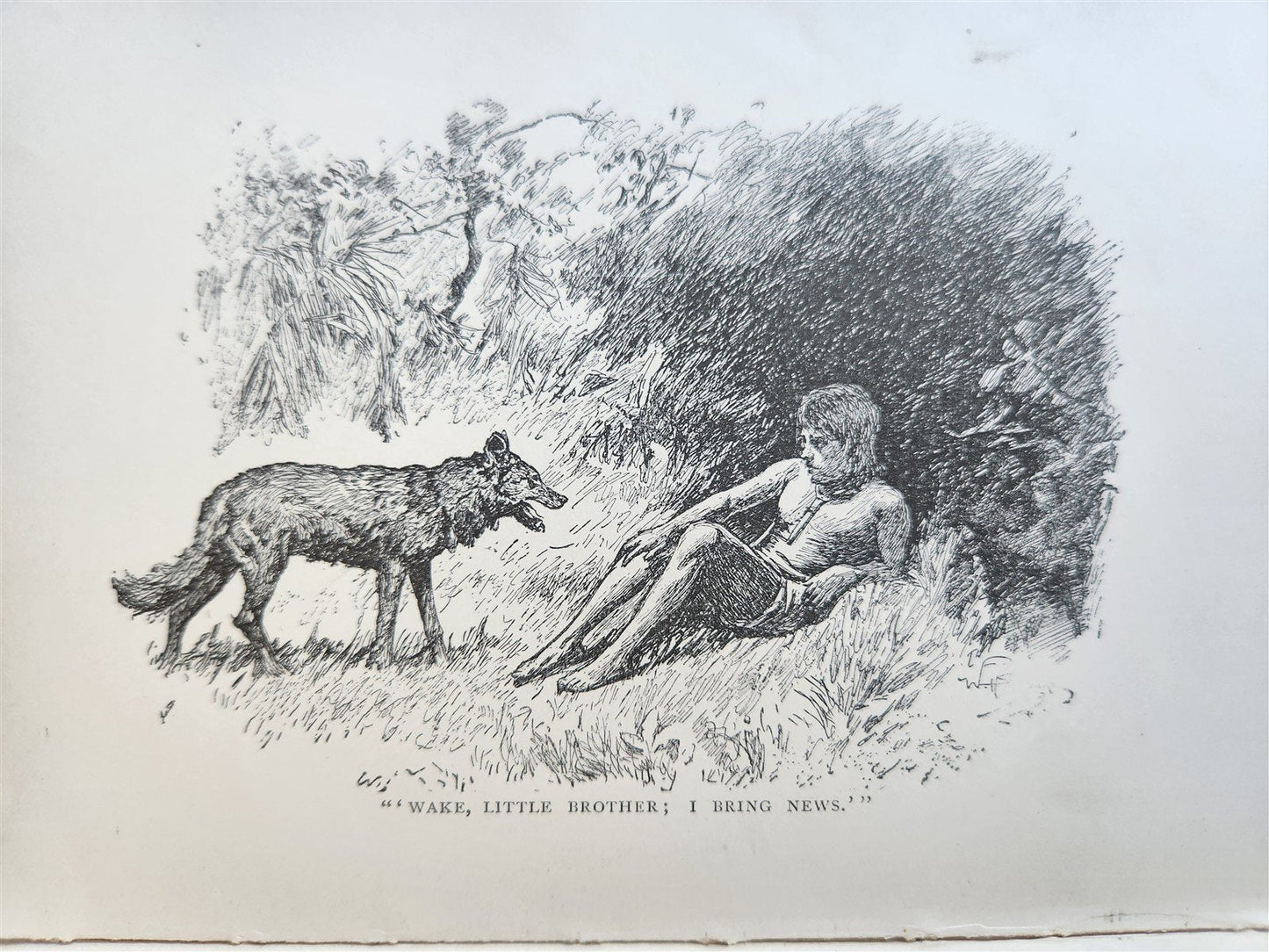 1896-98 THE JUNGLE BOOKS by RUDYARD KIPLING 2 vols antique ILLUSTRATED