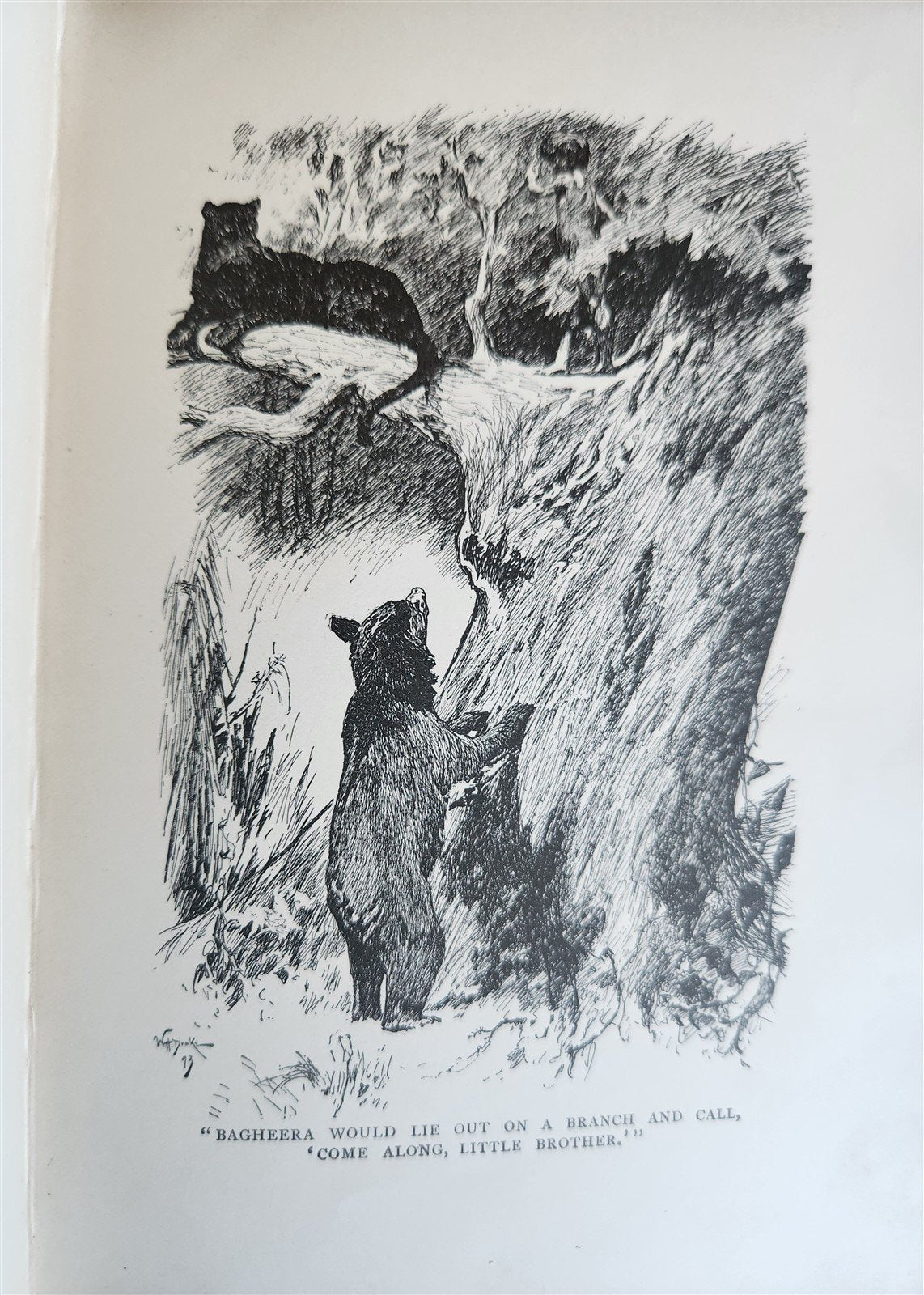 1896-98 THE JUNGLE BOOKS by RUDYARD KIPLING 2 vols antique ILLUSTRATED