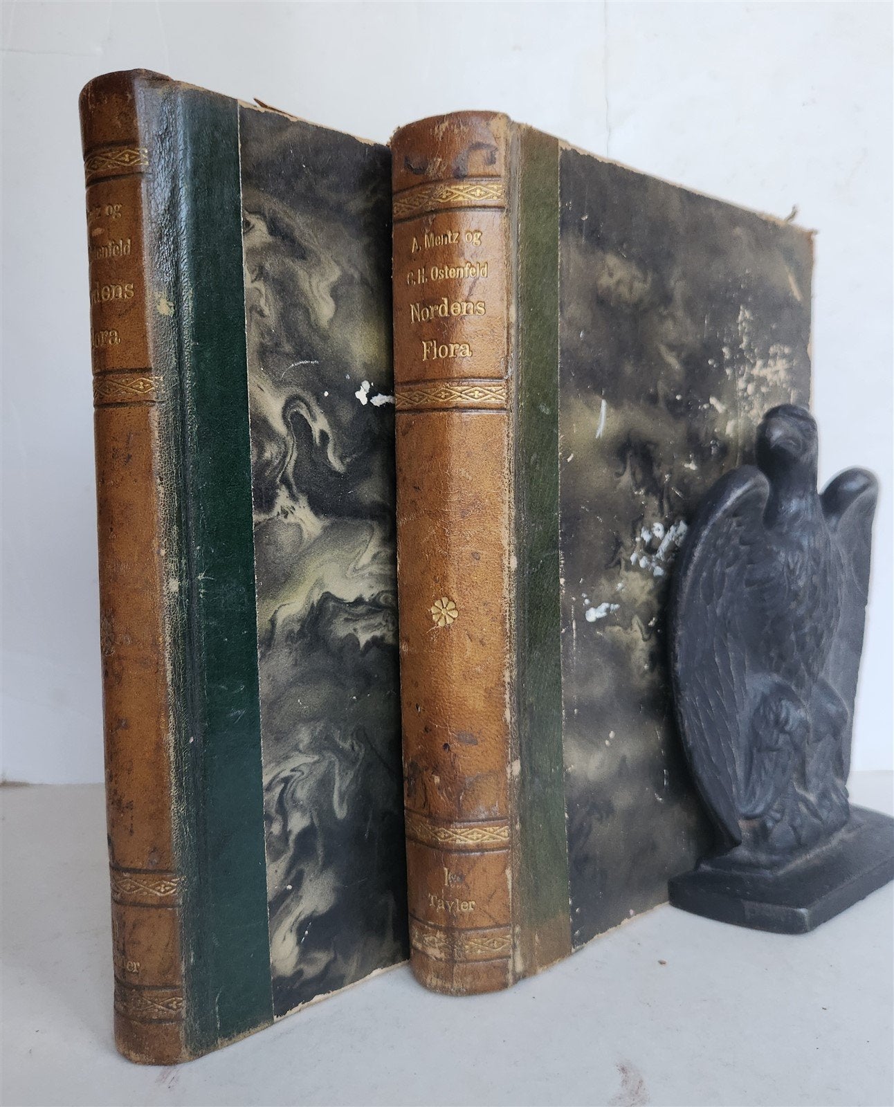 1880s NORDENS FLORA Mentz & Ostenfeld 2 vols antique ILLUSTRATED BOTANY PLANTS