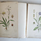 1880s NORDENS FLORA Mentz & Ostenfeld 2 vols antique ILLUSTRATED BOTANY PLANTS