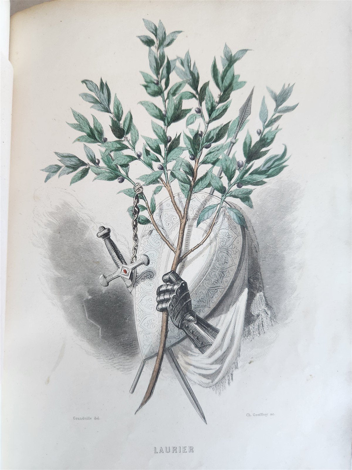 1847 LES FLEURS ANIMEES antique ILLUSTRATED with WOMEN PERSONIFYING FLOWERS