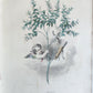1847 LES FLEURS ANIMEES antique ILLUSTRATED with WOMEN PERSONIFYING FLOWERS