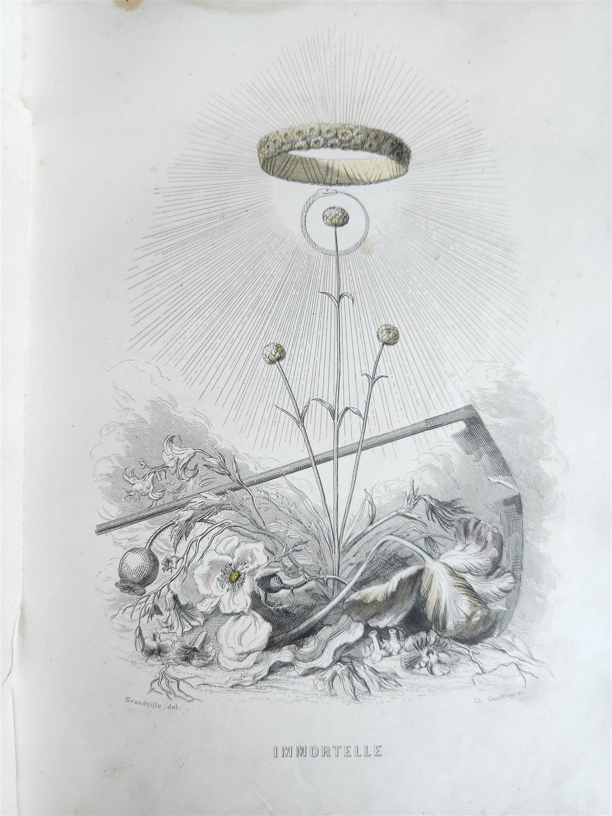 1847 LES FLEURS ANIMEES antique ILLUSTRATED with WOMEN PERSONIFYING FLOWERS