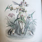 1847 LES FLEURS ANIMEES antique ILLUSTRATED with WOMEN PERSONIFYING FLOWERS
