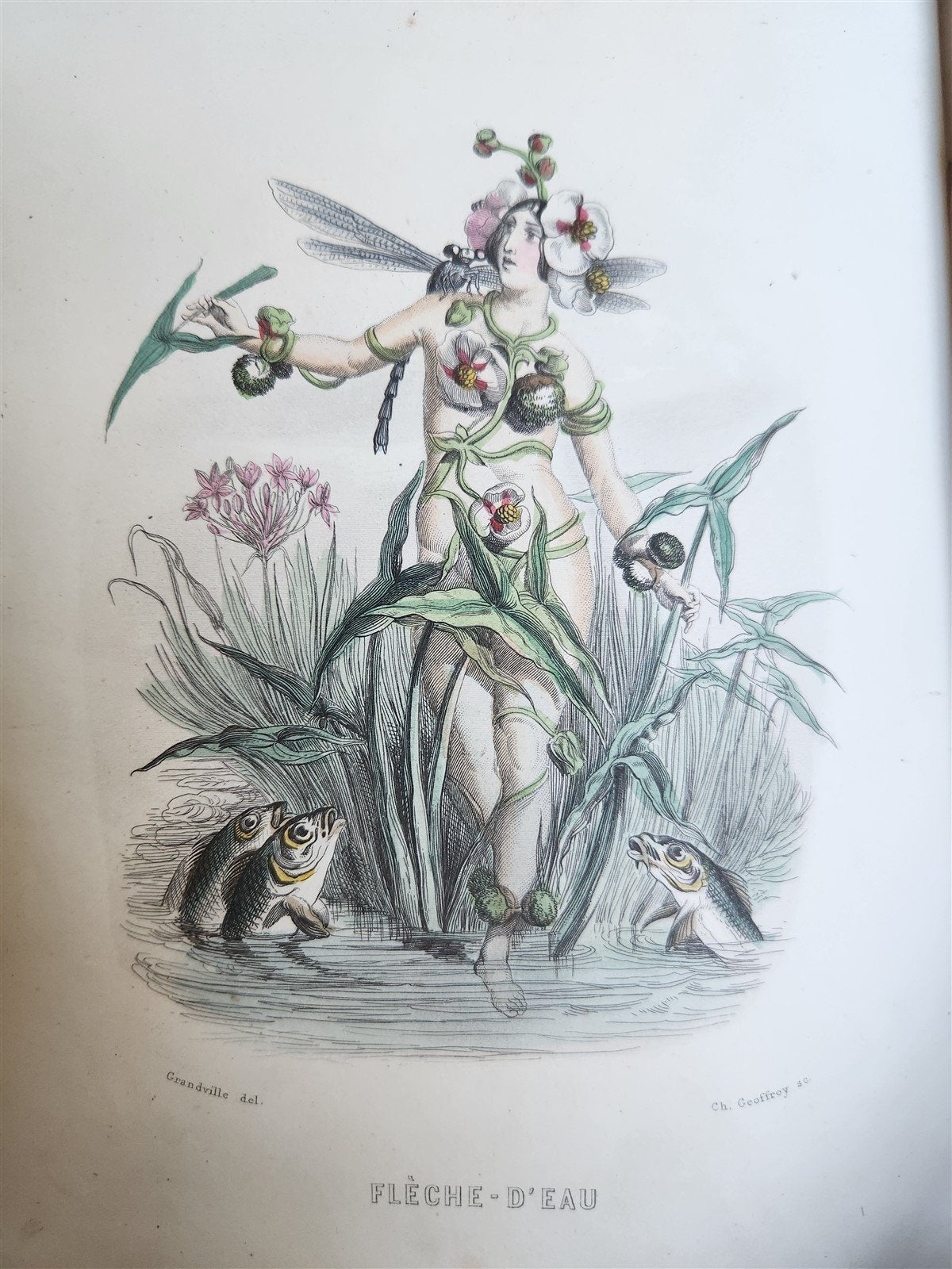 1847 LES FLEURS ANIMEES antique ILLUSTRATED with WOMEN PERSONIFYING FLOWERS