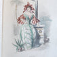 1847 LES FLEURS ANIMEES antique ILLUSTRATED with WOMEN PERSONIFYING FLOWERS