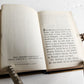 1871 PSALM BOOK in DANISH antique DECORATIVE VELVET BINDING w/ BRASS EDGES