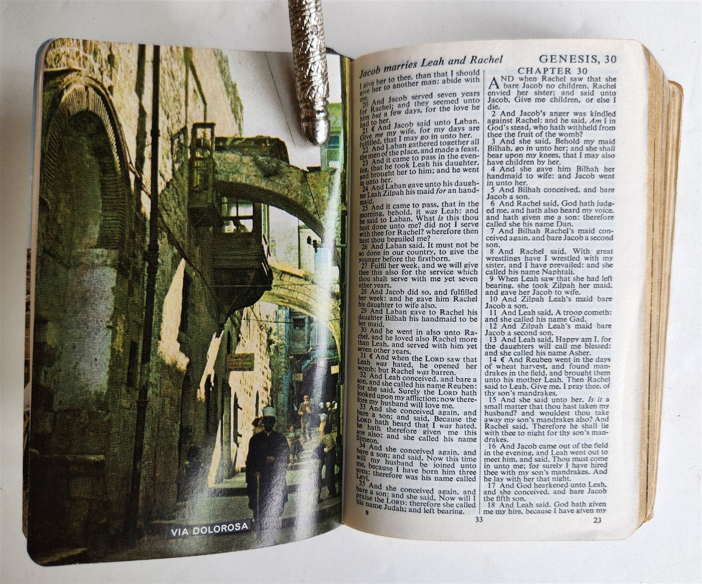 1950s BIBLE in ENGLISH w/ HOLY LAND PHOTOS & MOTHER-OF-PEARL BINDING vintage